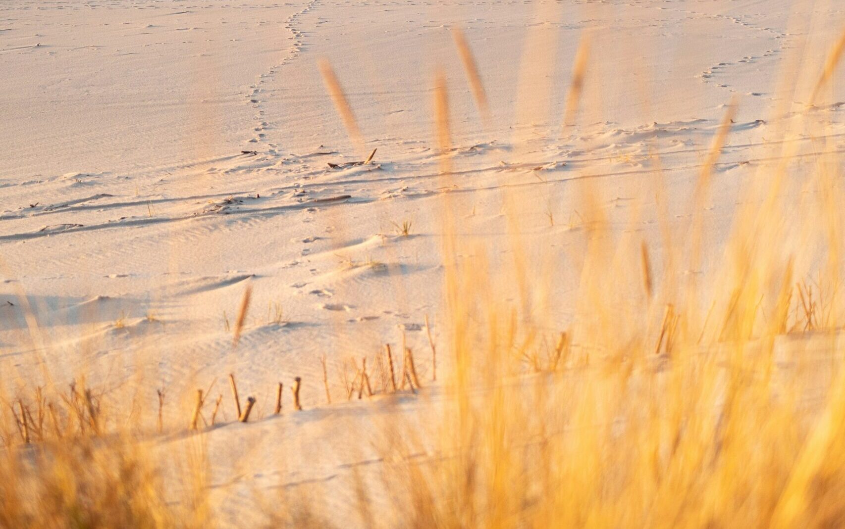 marek-piwnicki-ZFRrEdLSaJw-unsplash